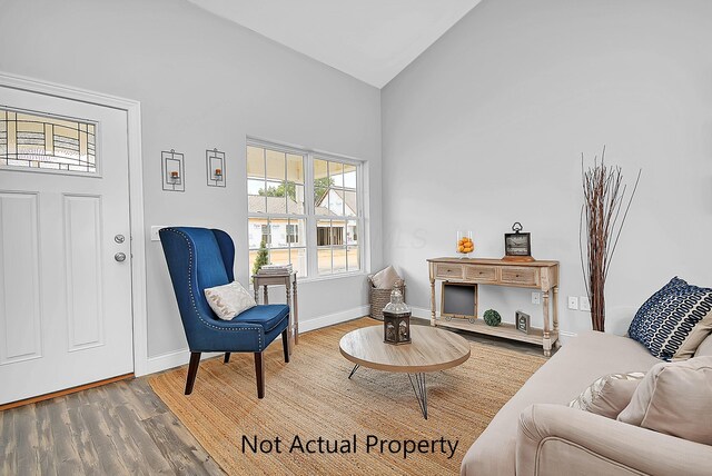 living area featuring hardwood / wood-style flooring and high vaulted ceiling