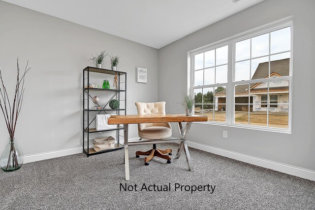 carpeted home office with a wealth of natural light