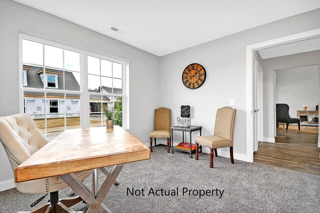 sitting room featuring carpet flooring