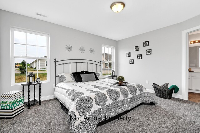 bedroom with carpet flooring, multiple windows, and ensuite bath