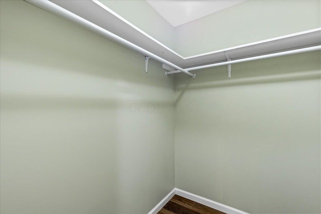 walk in closet featuring wood-type flooring