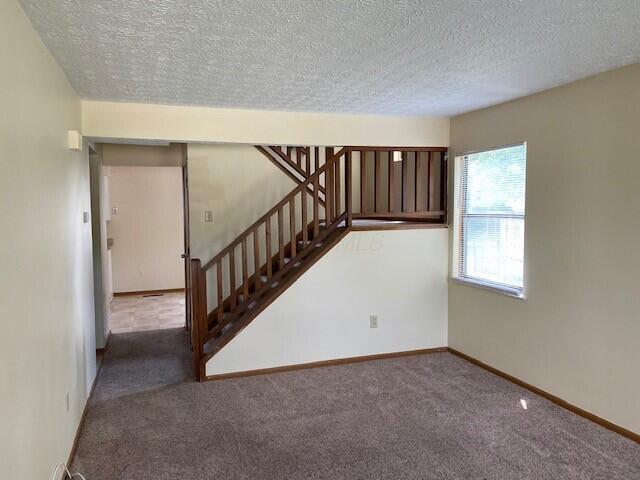 interior space with carpet and a textured ceiling