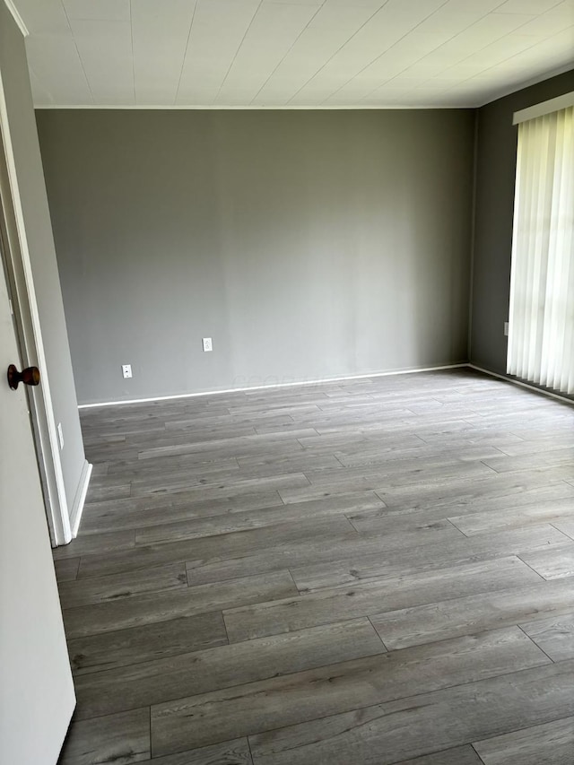 empty room with wood-type flooring