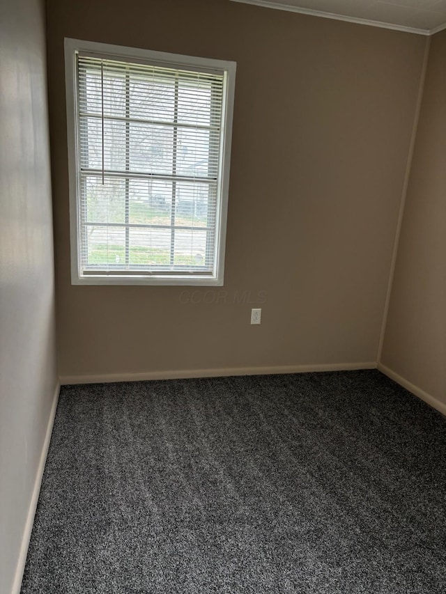 empty room featuring carpet and ornamental molding