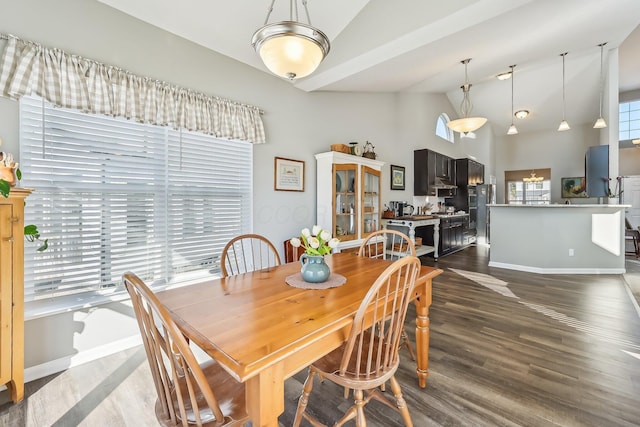 dining room with dark hardwood / wood-style floors and high vaulted ceiling