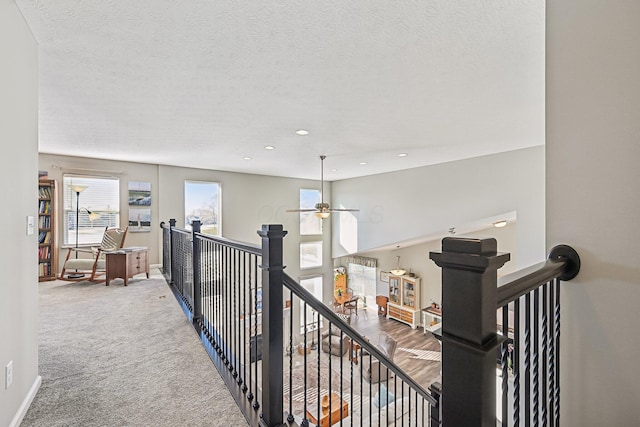 hall with carpet and a textured ceiling