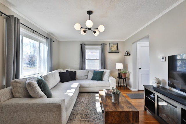 living room with a notable chandelier, dark hardwood / wood-style flooring, ornamental molding, and a wealth of natural light