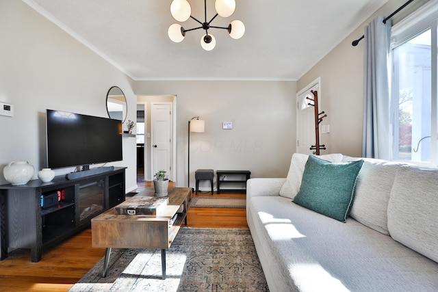 living room featuring a chandelier, ornamental molding, plenty of natural light, and dark wood-type flooring