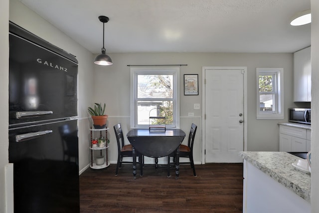 dining room with dark hardwood / wood-style floors