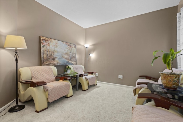 sitting room featuring carpet flooring