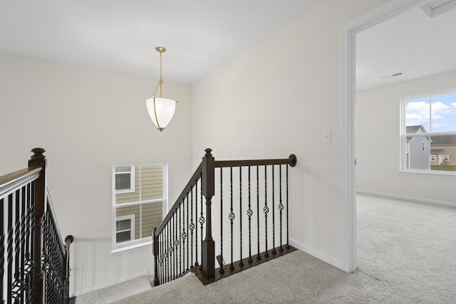 stairs with carpet floors