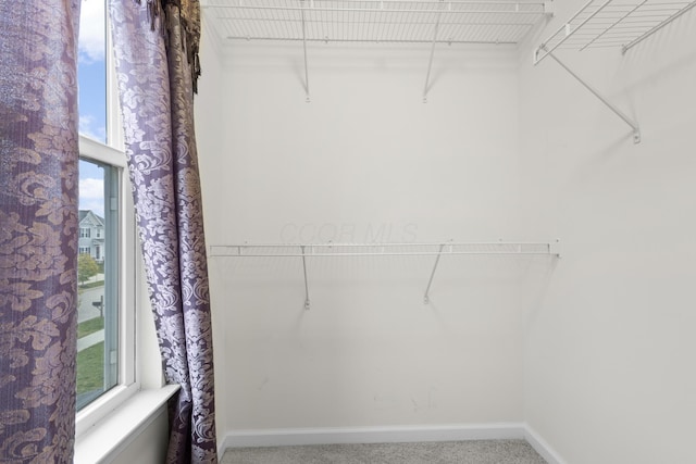 walk in closet featuring carpet flooring