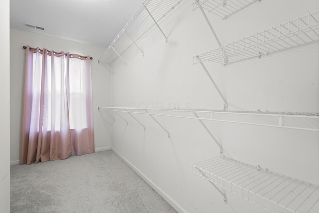 spacious closet featuring carpet floors