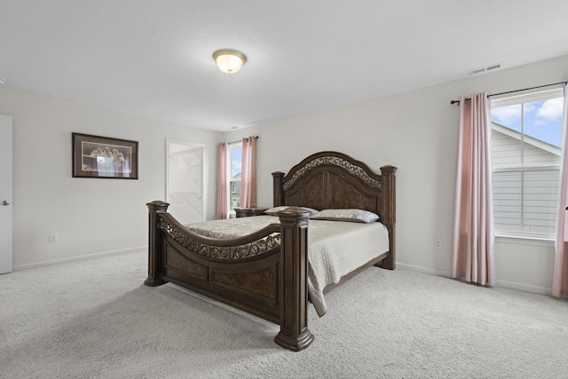 carpeted bedroom featuring a spacious closet