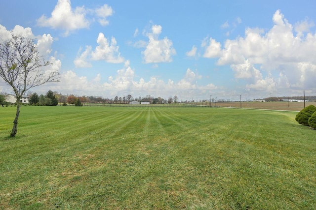 view of yard featuring a rural view