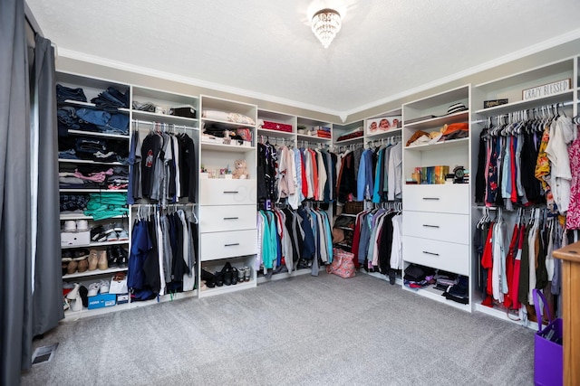 walk in closet featuring carpet