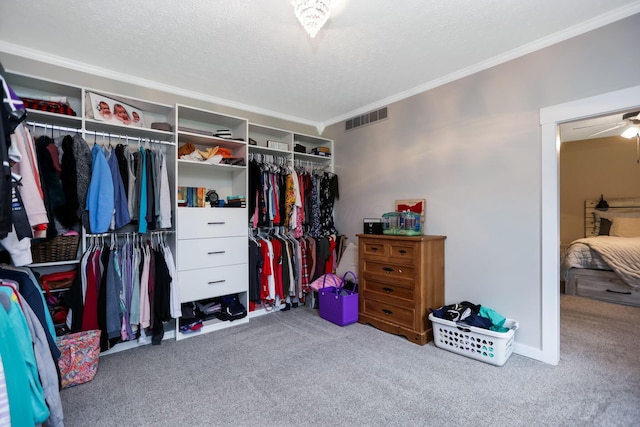 walk in closet with carpet flooring