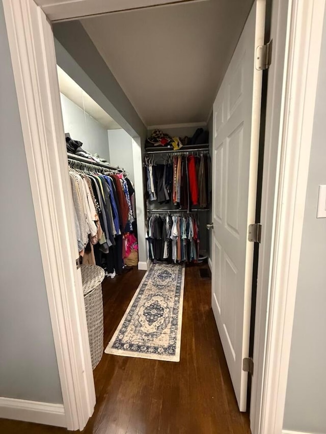 spacious closet featuring dark hardwood / wood-style floors