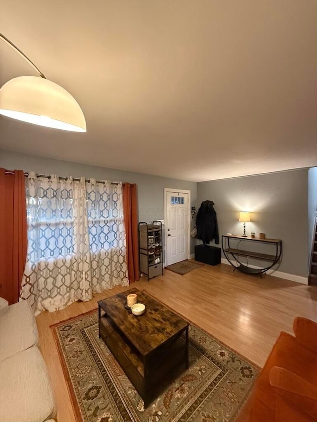 living room with wood-type flooring