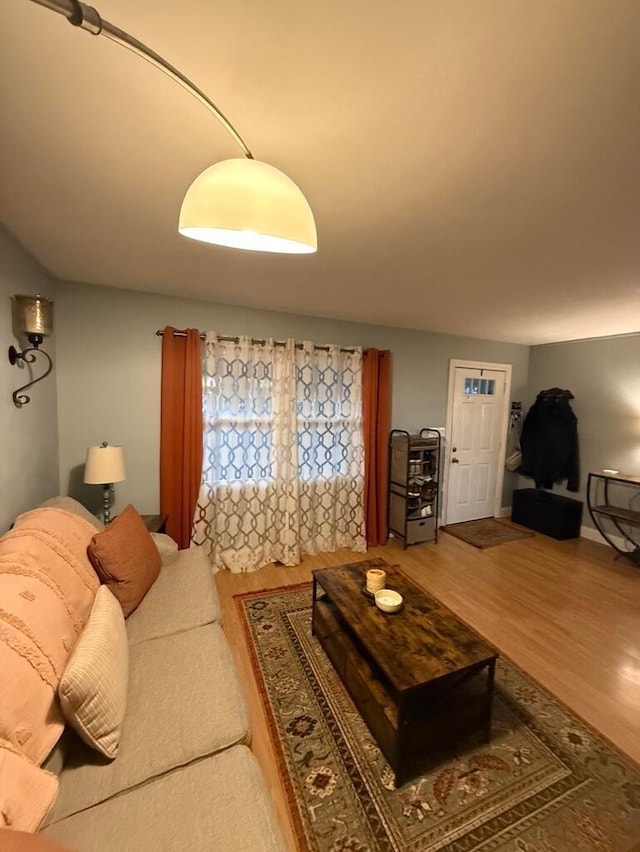 living room featuring wood-type flooring