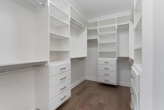 walk in closet featuring dark hardwood / wood-style floors