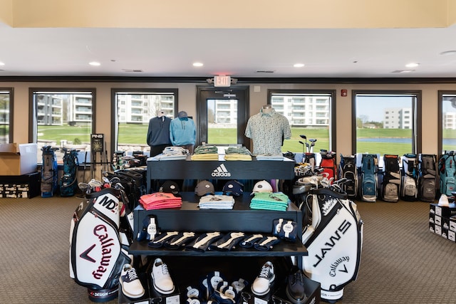 gym with carpet flooring, crown molding, and plenty of natural light