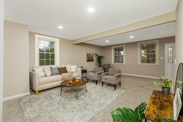 living room with light carpet