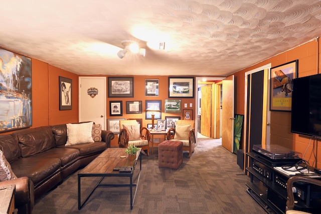 living room with carpet flooring and a textured ceiling