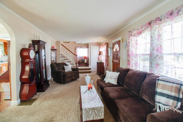 living room with carpet flooring, plenty of natural light, and crown molding