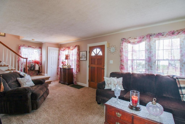 carpeted living room with plenty of natural light, crown molding, and a textured ceiling