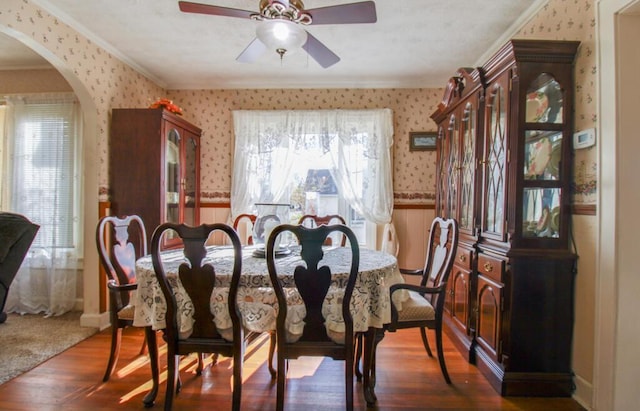 dining space featuring dark hardwood / wood-style flooring, ceiling fan, and crown molding