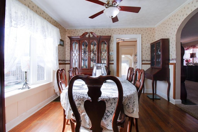 dining room featuring hardwood / wood-style floors, ceiling fan, and crown molding