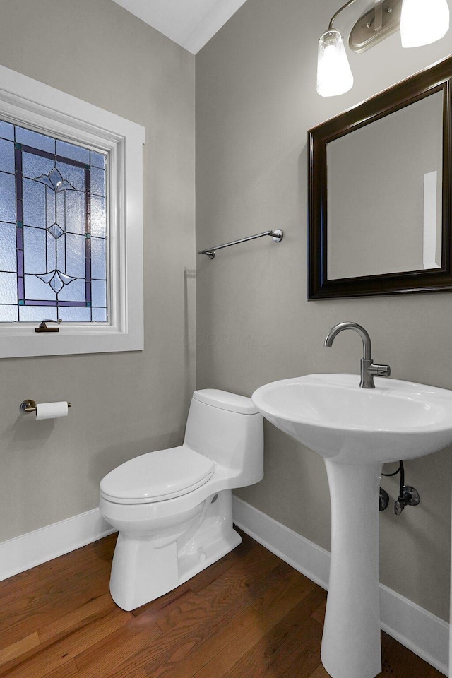 bathroom with hardwood / wood-style flooring and toilet