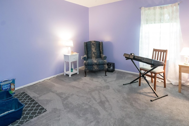 sitting room with carpet flooring