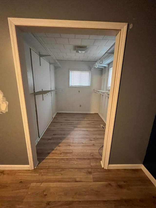 walk in closet featuring wood-type flooring