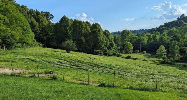 view of nature with a rural view