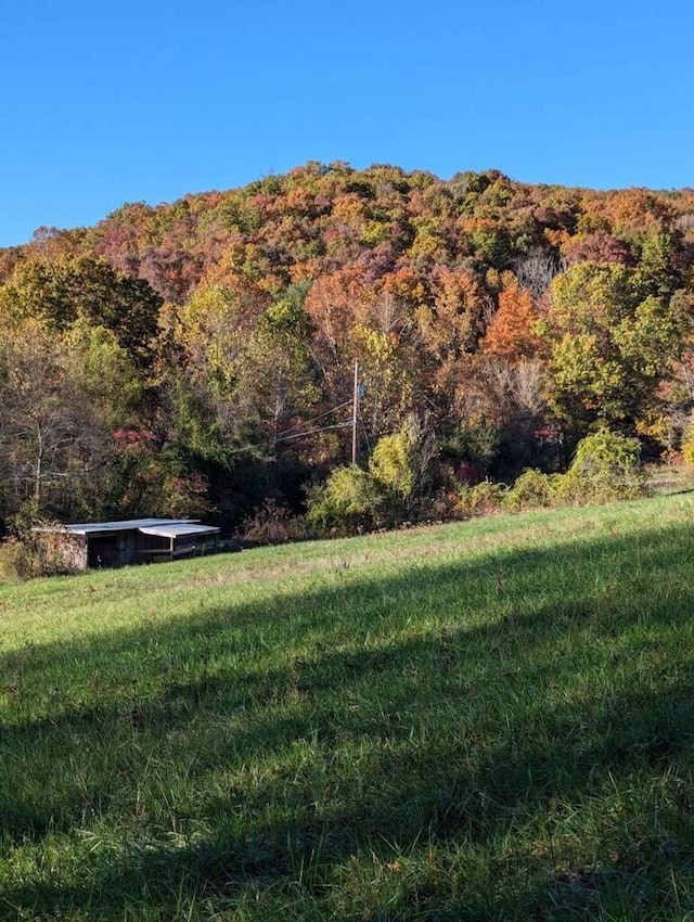 view of mountain feature