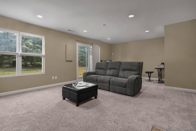 carpeted living room with plenty of natural light