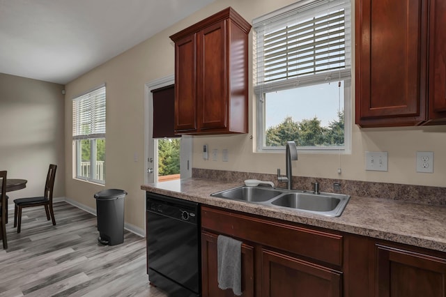 kitchen with black dishwasher, light hardwood / wood-style floors, a wealth of natural light, and sink