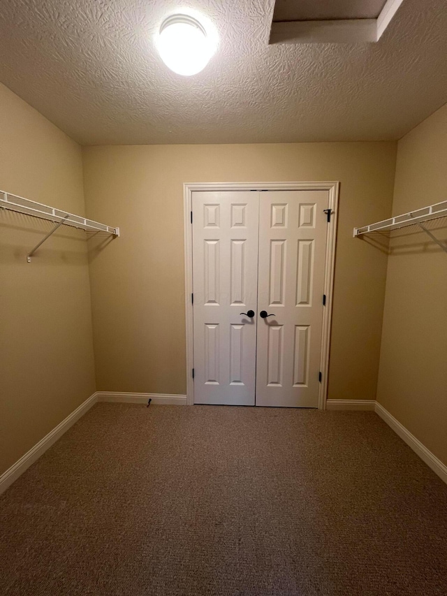 walk in closet featuring carpet flooring