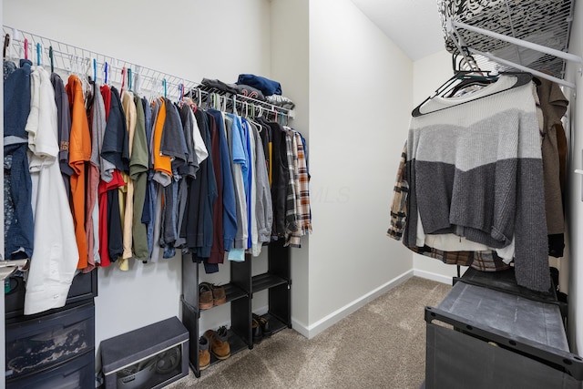 spacious closet featuring carpet