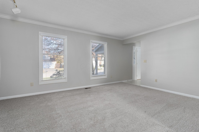 empty room featuring carpet flooring, track lighting, and ornamental molding