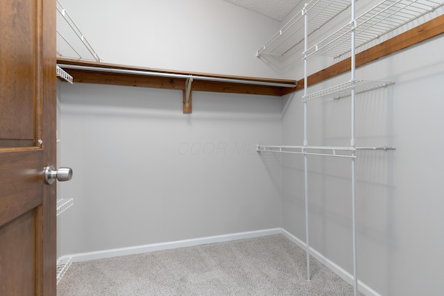 walk in closet with light colored carpet