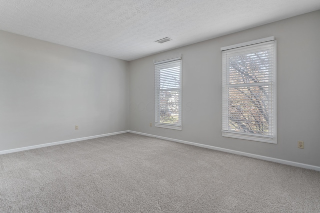 carpeted spare room with a textured ceiling and a wealth of natural light