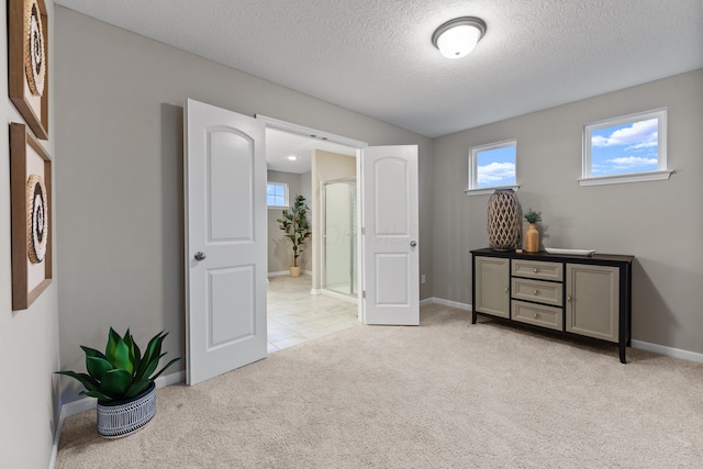 interior space with light carpet and a textured ceiling