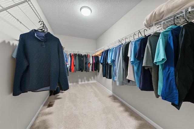 spacious closet featuring carpet floors