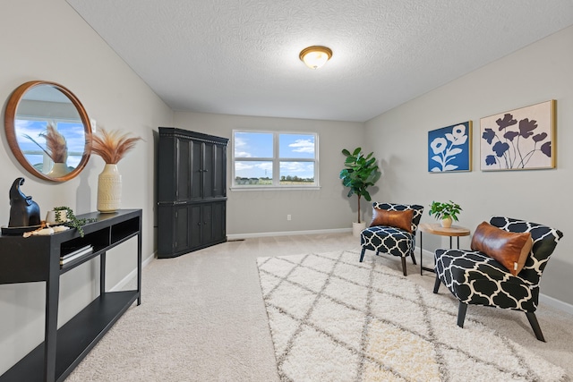 living area featuring carpet floors and a textured ceiling