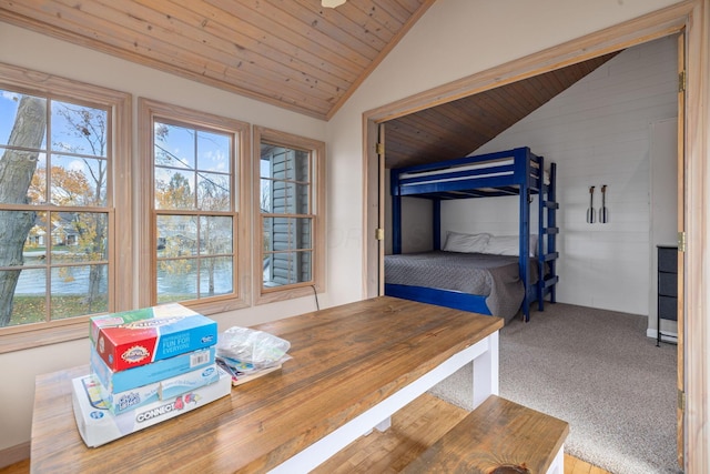 dining room with carpet, plenty of natural light, a water view, and vaulted ceiling