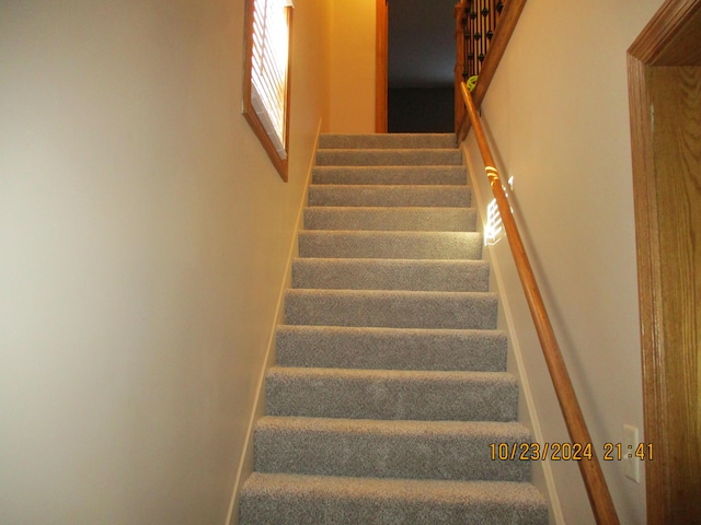 staircase with carpet flooring