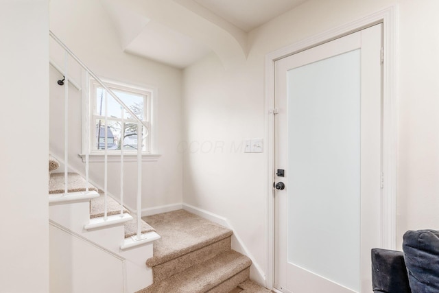 staircase featuring carpet floors